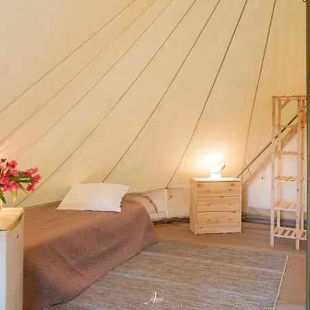 - Ccbbgaf Ghisonaccia