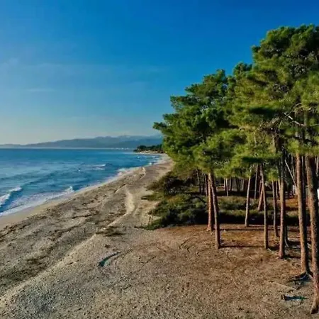 - Ccbbgaf Гизоначча