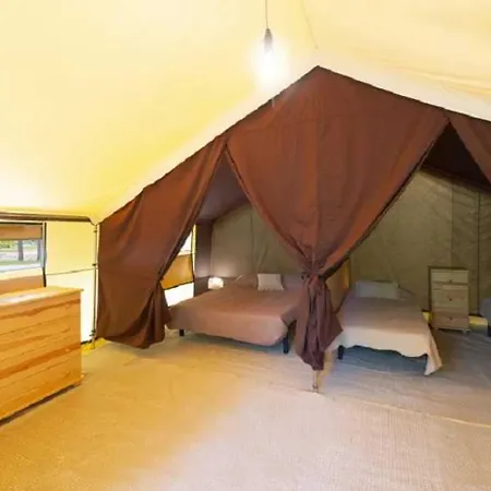 - Ccbbgaf * Гизоначча