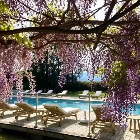 Zecamping 2 Etoiles Acces Direct A La Chiens Acceptes Piscine 2*