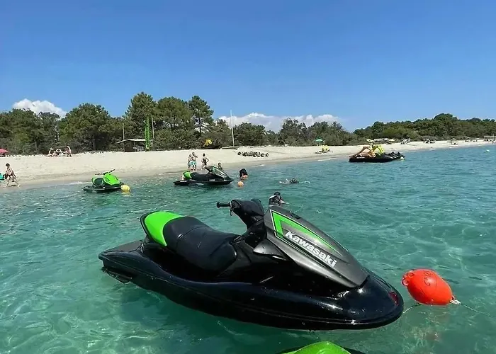 Zecamping 2 Etoiles Acces Direct A La Chiens Acceptes Piscine